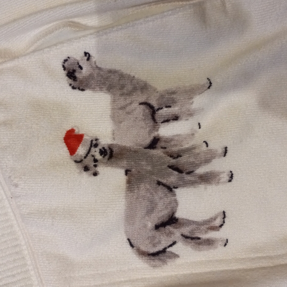 Gilly Hicks Hollister pants - Picture 2 of 8